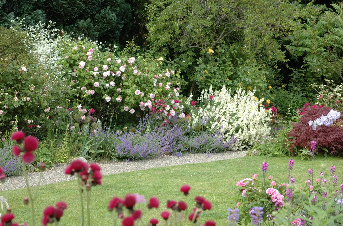 In unserem Shop bekommen Sie die schönsten Pflanzen für den Garten